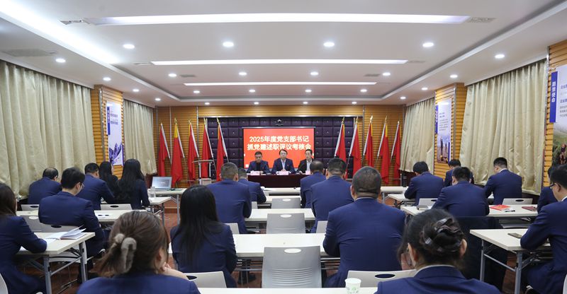 陜西地礦區(qū)研院有限公司召開(kāi)2025年度黨支部書(shū)記 抓黨建述職評(píng)議考核會(huì)